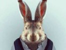 user-avatar